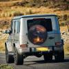 REVENEVER Spare Tire Cover for RV SUV Car Funny Sunset Bonfire Print Waterproof Dustproof Tire Cover for JP Camper Travel Trailer Truck view 4