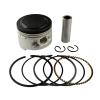 Road Passion 2UJ-11638-00-00 Engine Piston and Piston Rings Pin Clips Kit Replacement for Yamaha XV 250 XC 125 XV250 1988-2018 XC125 Cygnus 1990-1993 50M-11610-40-00 (Oversize+25 49.25mm; 1 Set) view 1