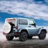 LOJAOGON Hedgehog White Spare Tire Cover Wheel Protectors Dust-Proof Wheel Tire Cover Fit Trailer, Rv, Sand Many Vehicle 17inch view 3