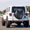 Foruidea Black Wolf Blue Eyes Looking Spare Tire Cover with Backup Camera Hole Wheel Tire Cover Fit Trailer, RV, SUV and Many Vehicle 14inch view 2