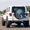 Foruidea Mystical Fox Spare Tire Cover with Backup Camera Hole Wheel Tire Cover Fit Trailer, RV, SUV and Many Vehicle 15inch view 2