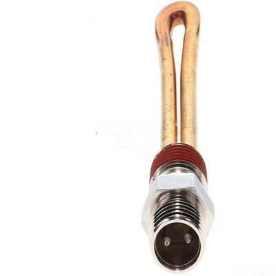 Engine Heater Cord for 1999-2003 Ford E350 Super Duty (PG-1864914)