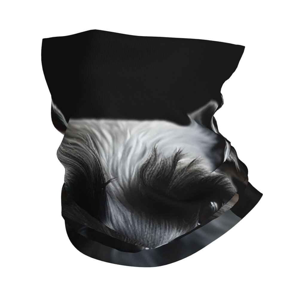 SDTYKHJ UPF 50+ Neck Gaiter for Men Women Bandana Cooling Face Mask Breathable Face Cover Black Schnauzer Dog Face Clothing Mask Scarf Wind-proof Headwear Head Wrap for Outdoor Fishing