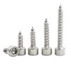 LIUDONGX 10-55pcs Hex Socket Tapping Screws M2 M2.6 M3 M3.5 M4 M5 M6 Stainless Steel Hexagon Socket Self Tapping Screw for Speakers (12mm, M4 30pcs) view 1