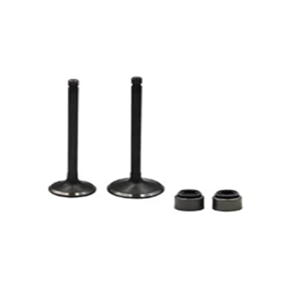 Motorcycle Intake And Stems For YFM225 Moto-4 225 YTM200 Tri-Moto 200 YFM25R 250 PRO-4