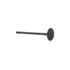 DNJ IV4444 Intake Valve for 2020-2022 Hyundai, Kia Accent, Elantra, Kona 1.6L L4 16V DOHC 1598cc view 3