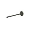 DNJ IV4444 Intake Valve for 2020-2022 Hyundai, Kia Accent, Elantra, Kona 1.6L L4 16V DOHC 1598cc view 4