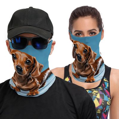 LYHVSFJW Multipurpose Neck Gaiter Dachshund Weiner Pet Dog Balaclava Face Mask Scarf Headwear Breathable Face Cover