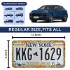 Beautiful Floral Print License Plate Frame - Unobstructed Narrow-Edge 2 Packs Universal Stainless Steel Car License Plate Frames Holder Solid Holder with 4 Holes Rustproof for Men Women view 2