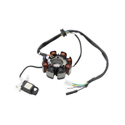 Yongfe 3089249 3089546 Magneto Stator Coil Fit for NX125