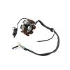 Yongfe 3089249 3089546 Magneto Stator Coil Fit for NX125 view 4