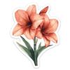 Watercolor Amaryllis Flowers Sticker - Waterproof Vinyl Decal for Car Bumper, Laptop, Luggage, Water Bottle, Phone Cases, Wall, Window, Sticker Size - 6'' Longer Side view 1