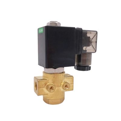 Normally open 16bar Brass high temperature steam 2 way solenoid valve 1/4 inch 24V DC Orifice 2.5mm FKM direct acting(AC110V)