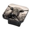Hitch Cover Fits for 2-Inch Hitch,The Highland Cow Stood in Field of Wild Flowers Rubber Trailer Hitch Cover Tube Plug Insert,Car Exterior Accessories, Receiver Tube Hitch Plug view 1