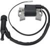 GOIPKO 30500-ZE2-023 Ignition Coil Module Fit for Honda GX240 GX270 GX340 GX390 8HP 9HP 10HP 11HP 13HP Engine Lawn Mower Replace# 30500-ZF6-W02 view 1