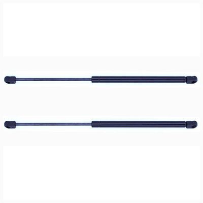 Trunk Lift 2 PCs Hatch Struts Lift Supports Replacement for Mazda 3 2004