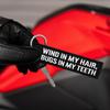 MotoLoot Keychain for Motorcycles, Scooters, Cars and Gifts (Wind In My Hair Bugs In My Teeth) view 4