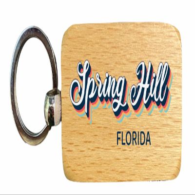 R and R Imports Spring Hill Florida 2.5x1-Inch Souvenir Wooden Keychain 3D Retro Design Single