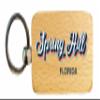 R and R Imports Spring Hill Florida 2.5x1-Inch Souvenir Wooden Keychain 3D Retro Design Single view 1