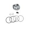 Piston Ring Pin Set Fit for Hisun 800 800cc ATV Quad UTV RS8 13101-010-0000 13111-010-0000 view 1