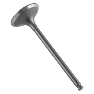 Powersports Replacement Parts for Intake Valve for Yamaha 5TA-12111-00-00 / WR450F YZ450F YFZ450F YFZ450R Mod-C33C-7699