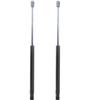 2X Hatch Lift Supports Struts Shocks for Spirit 1979 5.0L V8 view 1