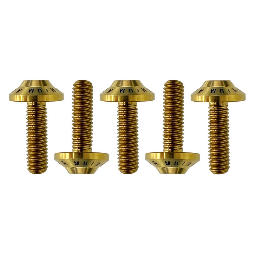 Arashi Front Brake Disc Rotor Mounting Bolts for Suzuki DRZ400SM 2005-2024, RM125X 1999-2000, RM125 2000-2008, RM250 2000-2005 Titanium Tapered Torx Screws M6x20 6 Pcs