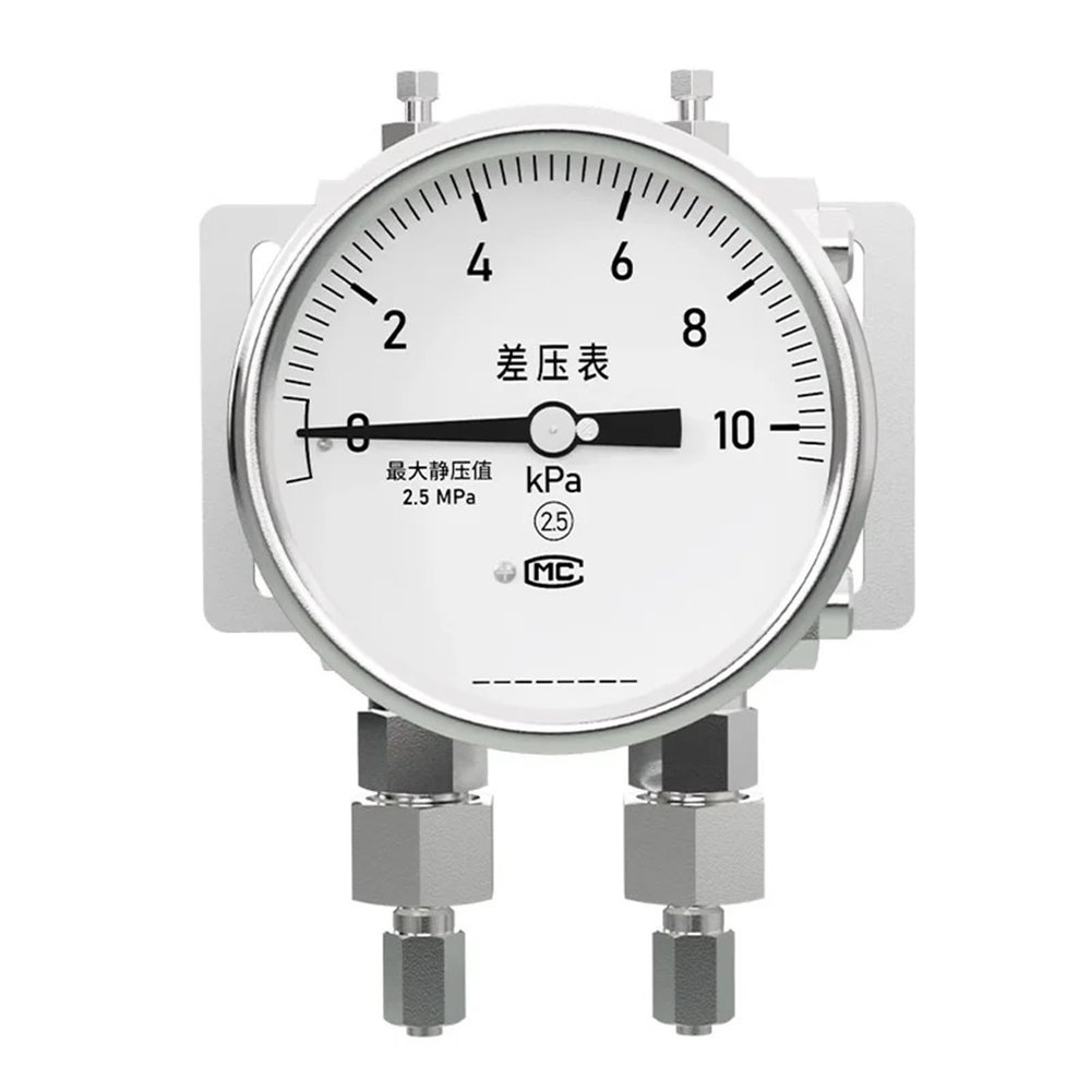 1pcs Stainless Steel Differential Pressure Gauge High Precision Shock Proof Radial Thread high Static Pressure Double Diaphragm(100mm Dia,0-0.1Mpa)