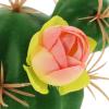 Car Antenna Topper Cactus Shape Plastic Ornament for Exterior Decoration view 3