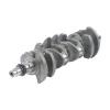 G4FJ 1.6T 231102B710 23110-2B710 23110 2B710 Engine Crankshaft Compatible For Hyundai Compatible For Kia 1.6 Turbo Car Accessories Parts view 2