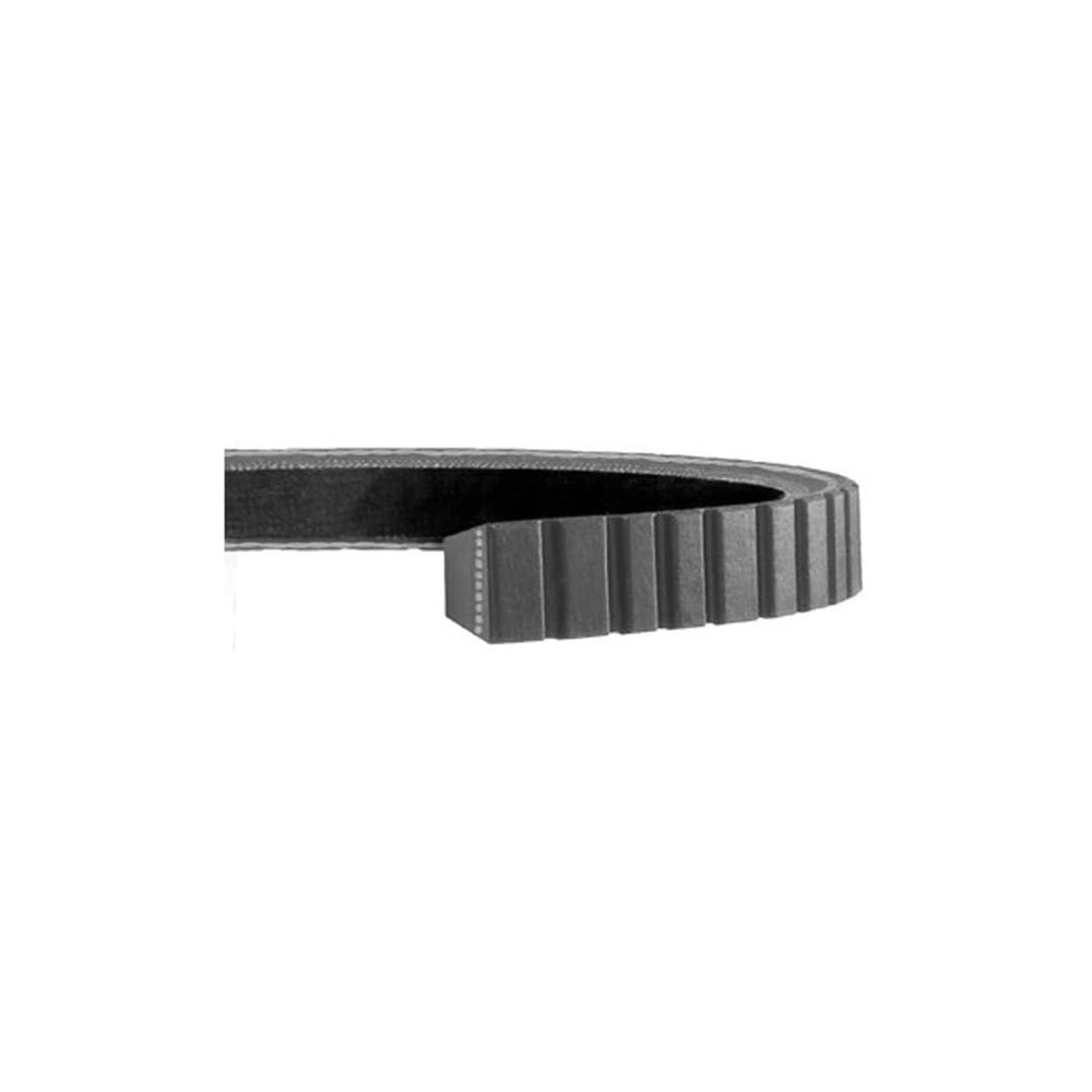 Accessory Drive Belt for Sterling Truck L9500, LT9522