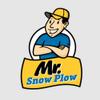 MR. Snowplow Replaces 56789 Western 26781-3 Fisher 48281 SnowEx Blizzard Suction Filter view 3