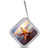 FekiLoot Starfish CD Case Portable DVD Case Holder Large Storage Disc Wallet Bag 40 Capacity Hard Plastic Disc Cases Storage Binder DVD Case Wallet for Car Home Travel view 3