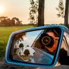 HONMEET Blind Spot Mirror Adjustable Frameless Convex Side View Car Mirror Wide Angle for Trucks Suvs and Cars view 4