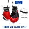XJVSS 1 Pair Mini Boxing Gloves for Car Mirror, Punching Gloves Car Rearview Mirror Charm with Flag Pattern, Novelty Boxing Glove Decor Patriotic Mirror for Most Vehicles (Trinidad & Tobago) view 2