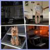 RV Step Carpet Mat Anti Slip Self Stick, Stylish, Pad Protective Rug, Dustproof Staircase Camping Car Garage | Staircase Camping Car Garage Trailer Truck Boat high-Performance view 4