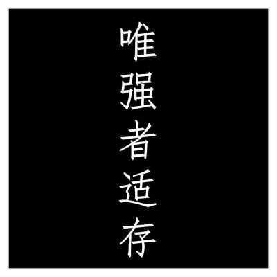 Car Sticker Chinese Hieroglyph The Strongest Survives(White,50x7.8 cm)