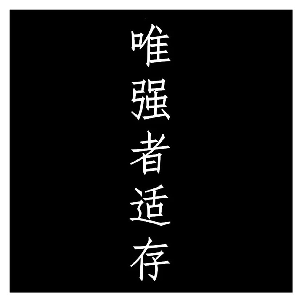 Car Sticker Chinese Hieroglyph The Strongest Survives(White,50x7.8 cm)