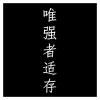 Car Sticker Chinese Hieroglyph The Strongest Survives(White,50x7.8 cm) view 1