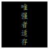 Car Sticker Chinese Hieroglyph The Strongest Survives(White,50x7.8 cm) view 2