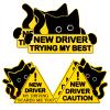 Reflective Black Cat Student Driver Magnet for Car, 6 Pack Strong Magnetic New Driver Signs, Removable Please Be Patient Rookie Bumper Stickers, Highly Visible Day & Night for Teens, Beginners (A) view 1