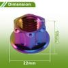 FUELHOOD M12*1.25 Motorcycle Wheel Axle Nut Screw GR5 Titanium Alloy 6 Pcs view 4
