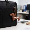 SVORTEKA Sturdy Pu Leather Dachshund Keychain with Double Sided 3d Design Perfect for Personalizing Keys Bags Accessories view 4