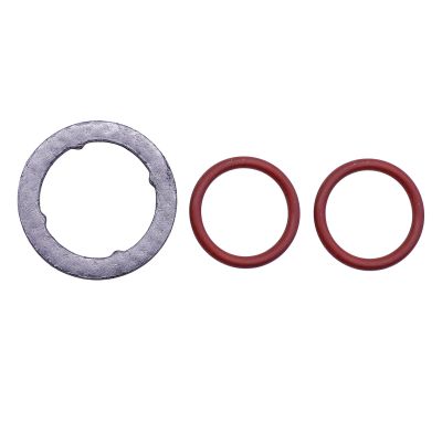 Valve Gasket & O-Ring Kit 3C3Z-9P455-AB Compatible with Ford F250 F350 F450 2003-2007,E350 E450 Super Duty 20042010