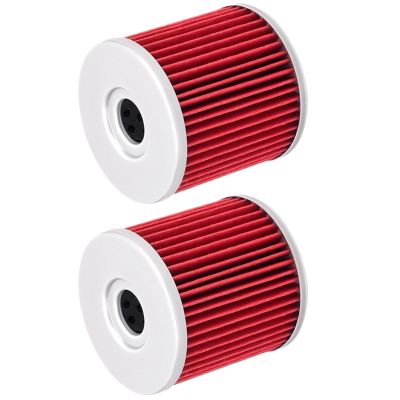 1/2/3/4Pcs Motorcycle Oil Filters Compatible With Hyosung GT650 GT650R GT650S C-omet GV650 Aquila Avitar ST7 14-0681 0712-0138 550-0681(2PCS)