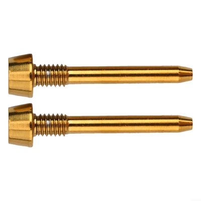 2Pcs Bike Alloy Disc Brake Caliper Bolt Pin,Retaining Screw,For Magura MT2 MT4 MT5 MT6,MT8,Brake Pad Axle Snap Ring Screw(GOLD)