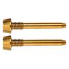 2Pcs Bike Alloy Disc Brake Caliper Bolt Pin,Retaining Screw,For Magura MT2 MT4 MT5 MT6,MT8,Brake Pad Axle Snap Ring Screw(GOLD) view 1