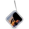 Chameleon Men Sunset Funny CD Storage Case for Car Holder DVD Organizer Box Holds 40 Discs Travel CD Wallet view 3