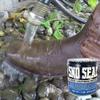Atsko Sno-Seal 1330 Original Beeswax Waterproofing (7 Oz Net Weight/ 8 Oz Overall Weight) view 3