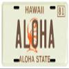 VINTAGE-PLATES Aloha Hawaii 1980's Metal License Plate view 1